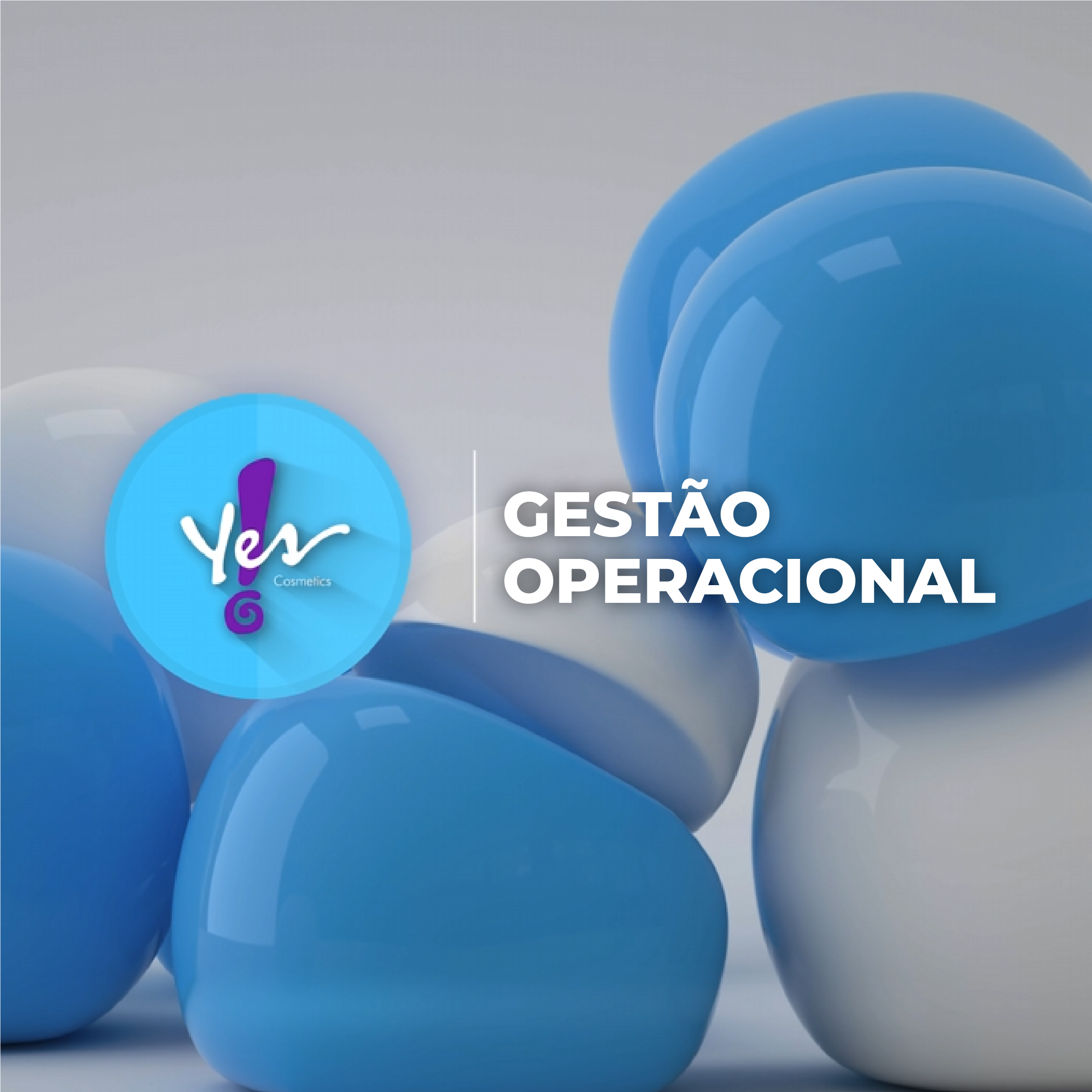 GEST&Atilde;O OPERACIONAL